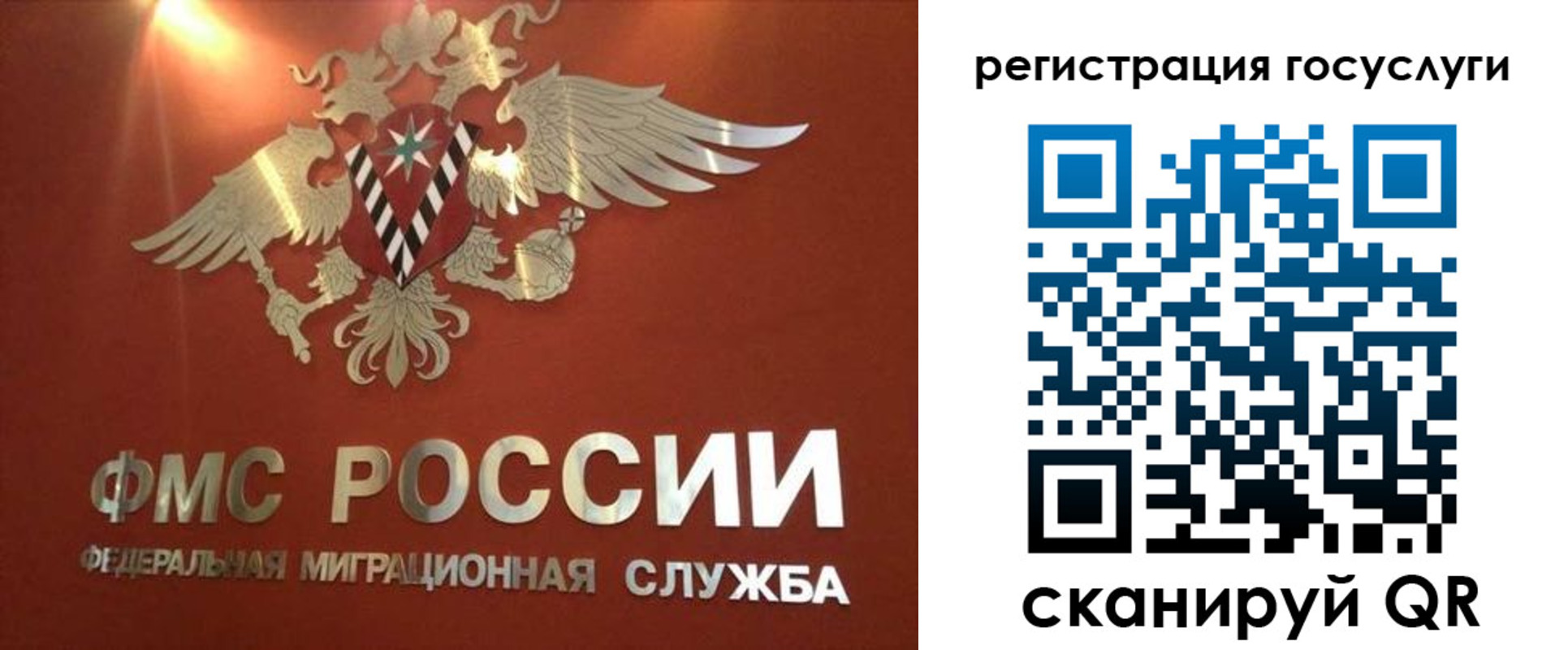 прописка ребенка в Юрьев-Польском